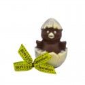 Poussin Coquille - Chocolat au lait bio